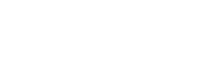 Flying Dogs Photography Logo